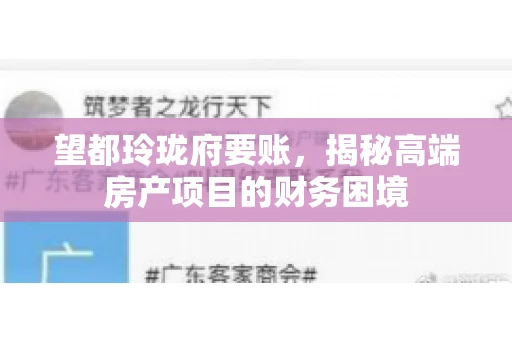望都玲珑府要账，揭秘高端房产项目的财务困境