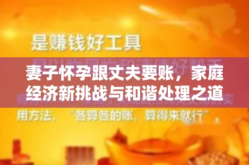 妻子怀孕跟丈夫要账，家庭经济新挑战与和谐处理之道