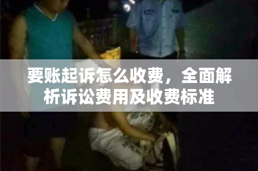 要账起诉怎么收费，全面解析诉讼费用及收费标准