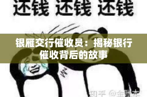 银雁交行催收员：揭秘银行催收背后的故事