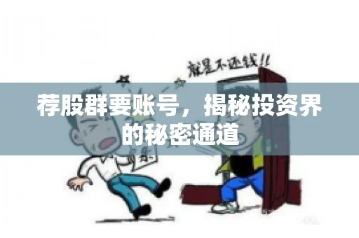 荐股群要账号，揭秘投资界的秘密通道