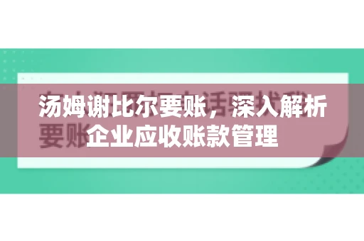 汤姆谢比尔要账，深入解析企业应收账款管理