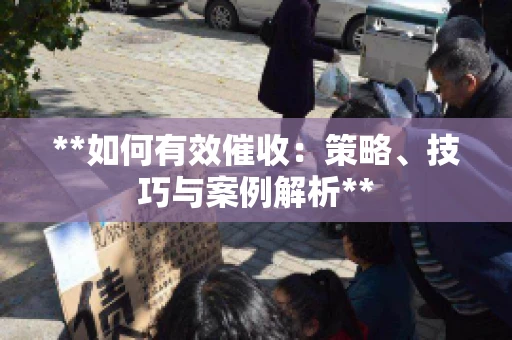 **如何有效催收：策略、技巧与案例解析**