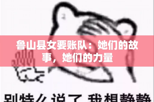鲁山县女要账队：她们的故事，她们的力量