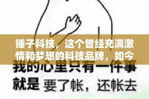 锤子科技，这个曾经充满激情和梦想的科技品牌，如今却陷入了要账的困境。今天，我们就来聊聊锤子科技要账的那些事儿。
