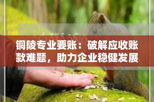 铜陵专业要账：破解应收账款难题，助力企业稳健发展