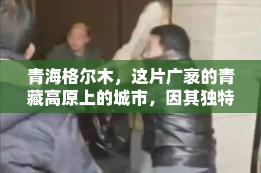 青海格尔木，这片广袤的青藏高原上的城市，因其独特的地理位置和丰富的自然资源而闻名。然而，对于一些借款人来说，这里可能因为逾期还款而接到催收电话。那么，青海格尔木的催收电话是哪家公司的呢？今天，我们就来聊聊这个话题。