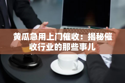 黄瓜急用上门催收：揭秘催收行业的那些事儿