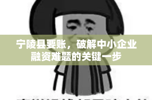 宁陵县要账，破解中小企业融资难题的关键一步