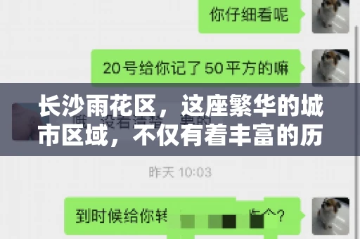 长沙雨花区，这座繁华的城市区域，不仅有着丰富的历史文化，还有着繁忙的金融活动。其中，催收公司作为金融行业的一个重要组成部分，在这里也有着不少的身影。那么，长沙雨花区都有哪些催收公司呢？今天，我们就来聊聊这个话题。