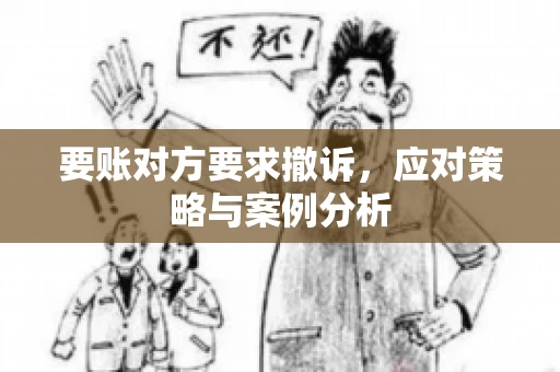 要账对方要求撤诉,应对策略与案例分析 要账对方要求撤诉,应对策略与案例分析